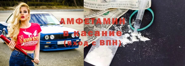 шишки Алексин