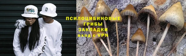 прущая мука Алзамай