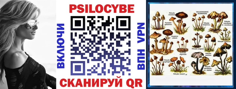 Галлюциногенные грибы прущие грибы  Спасск-Рязанский 
